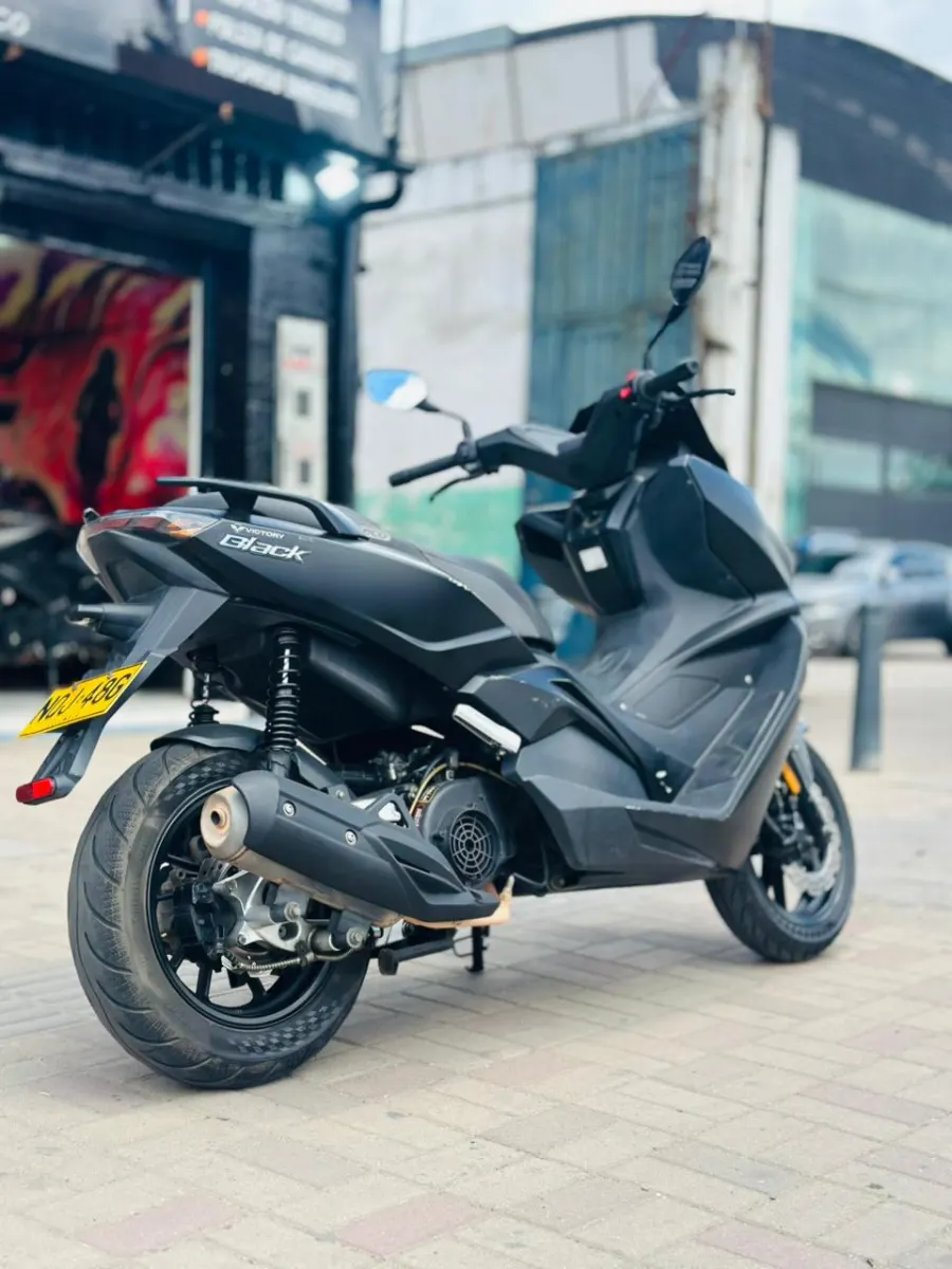 Victory BLACK 170 2024
