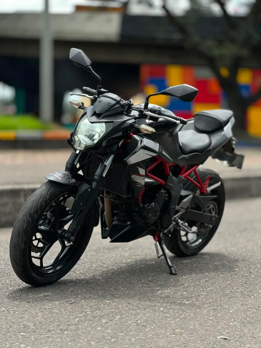 Kawasaki  Z250 SL 2015