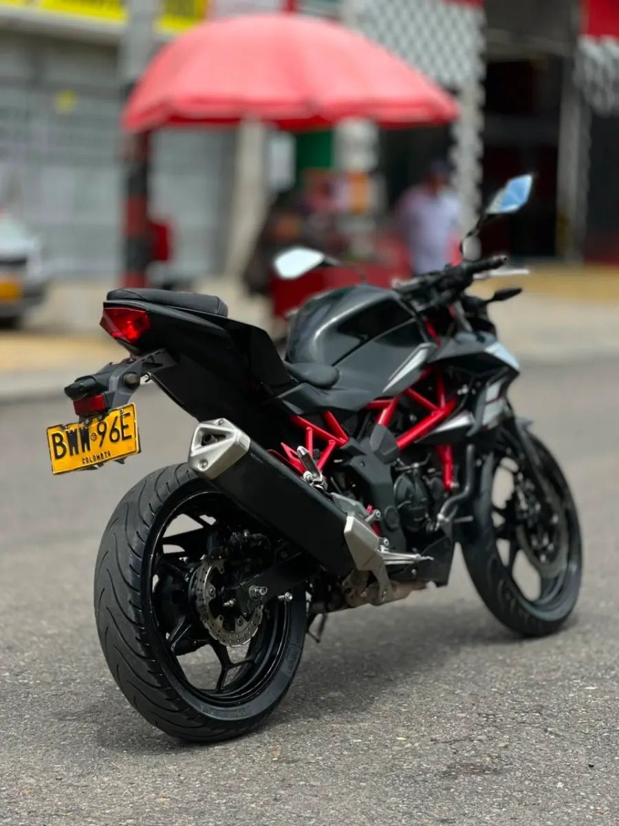 Kawasaki  Z250 SL 2015
