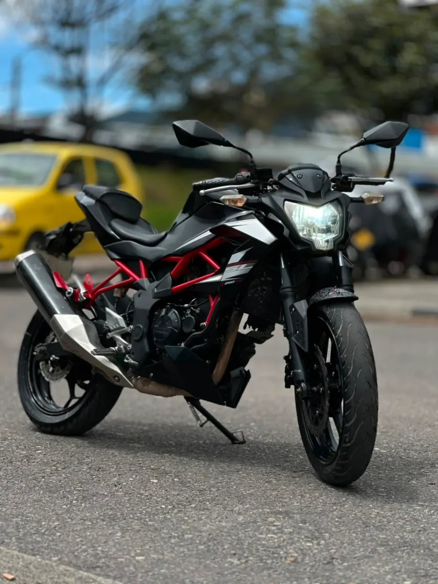 Kawasaki  Z250 SL 2015