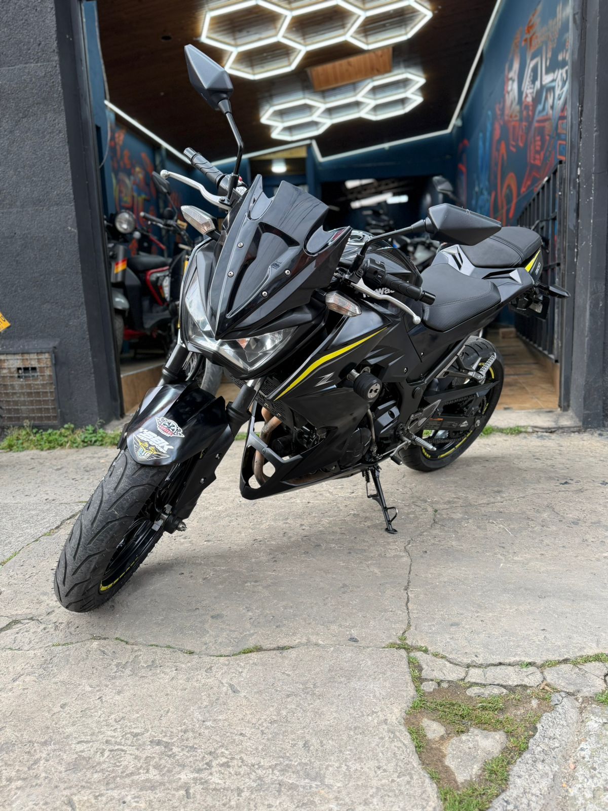 Kawasaki  ER 2019