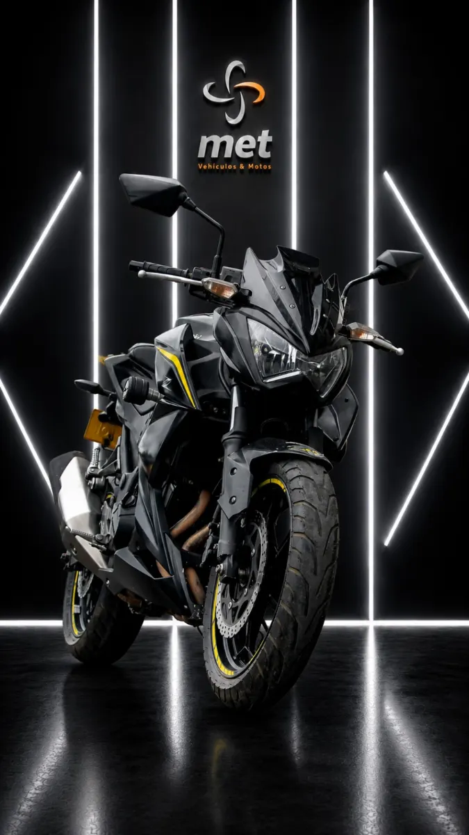 Kawasaki  ER300 2019