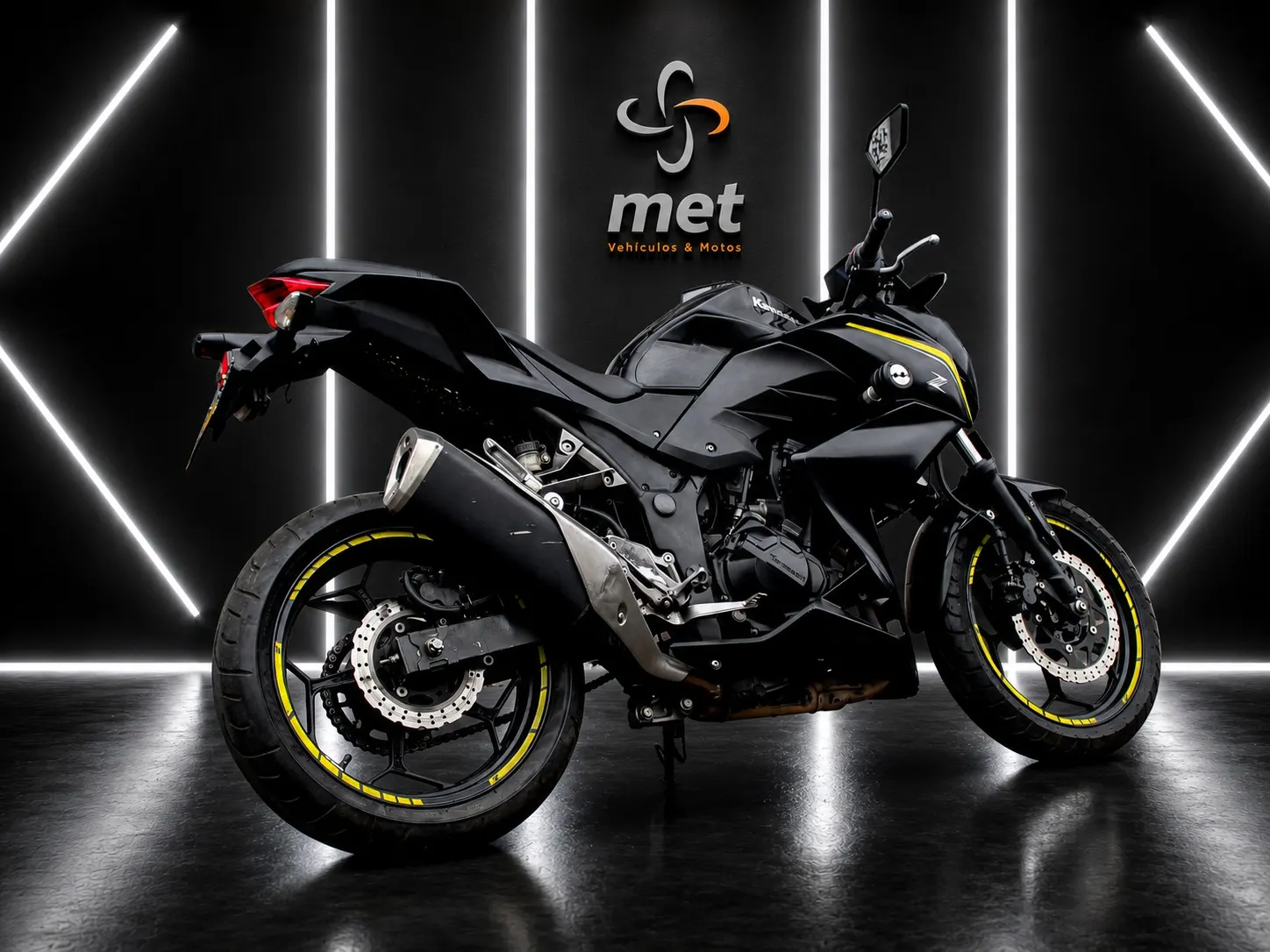 Kawasaki  ER300 2019