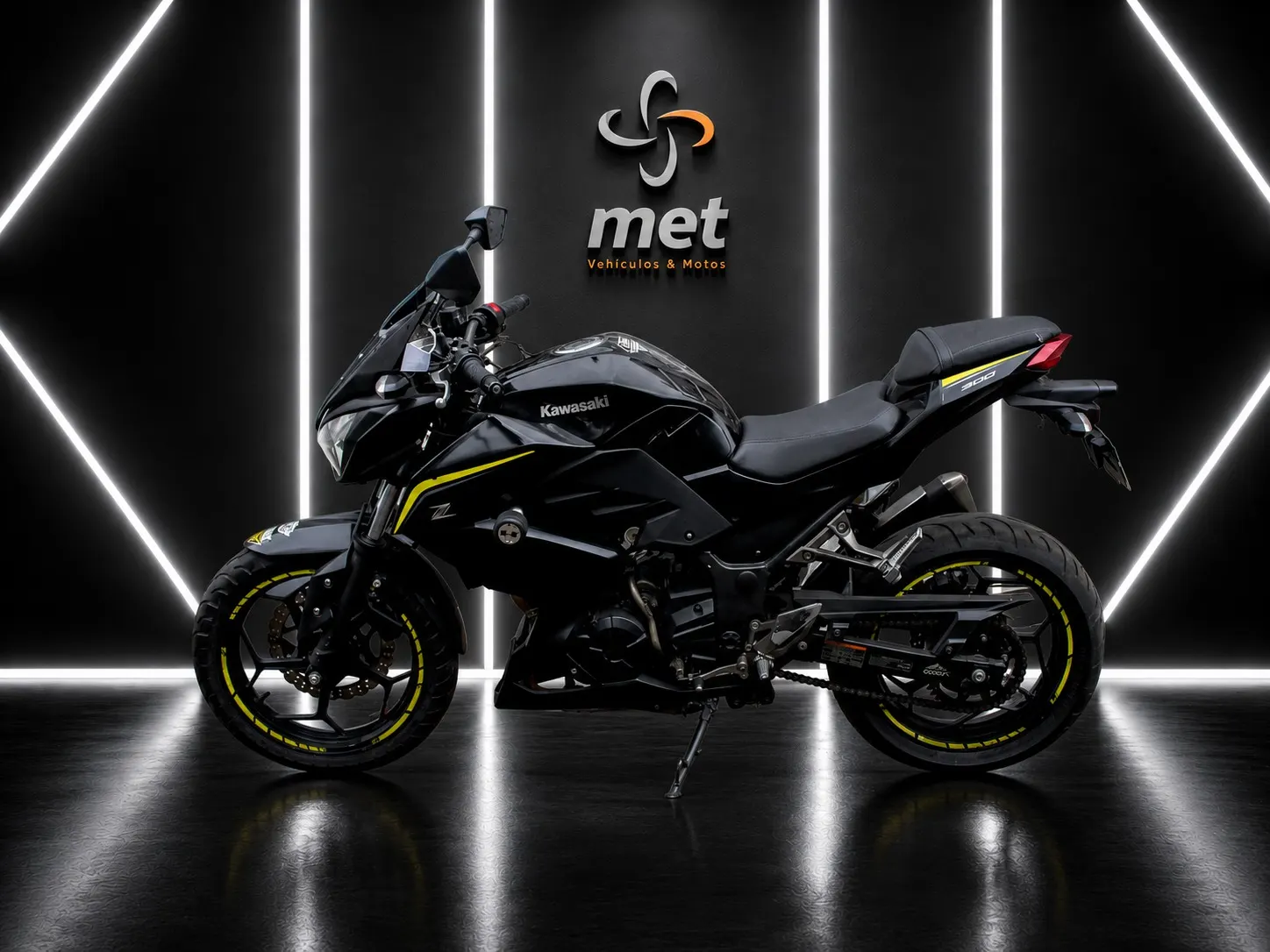 Kawasaki  ER300 2019