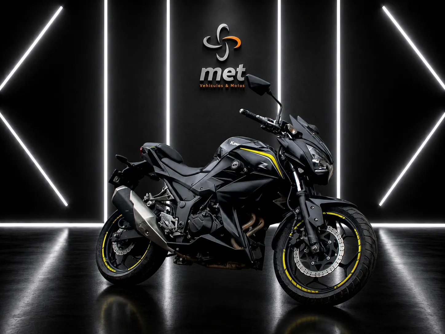 Kawasaki  ER300 2019