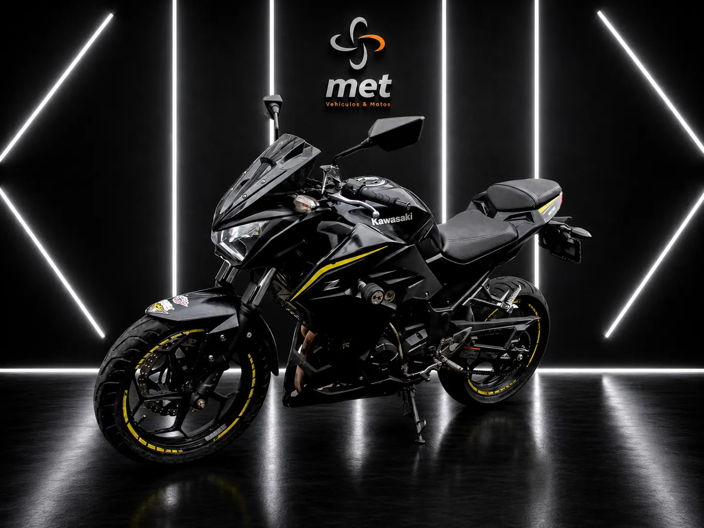 Kawasaki  ER300 2019