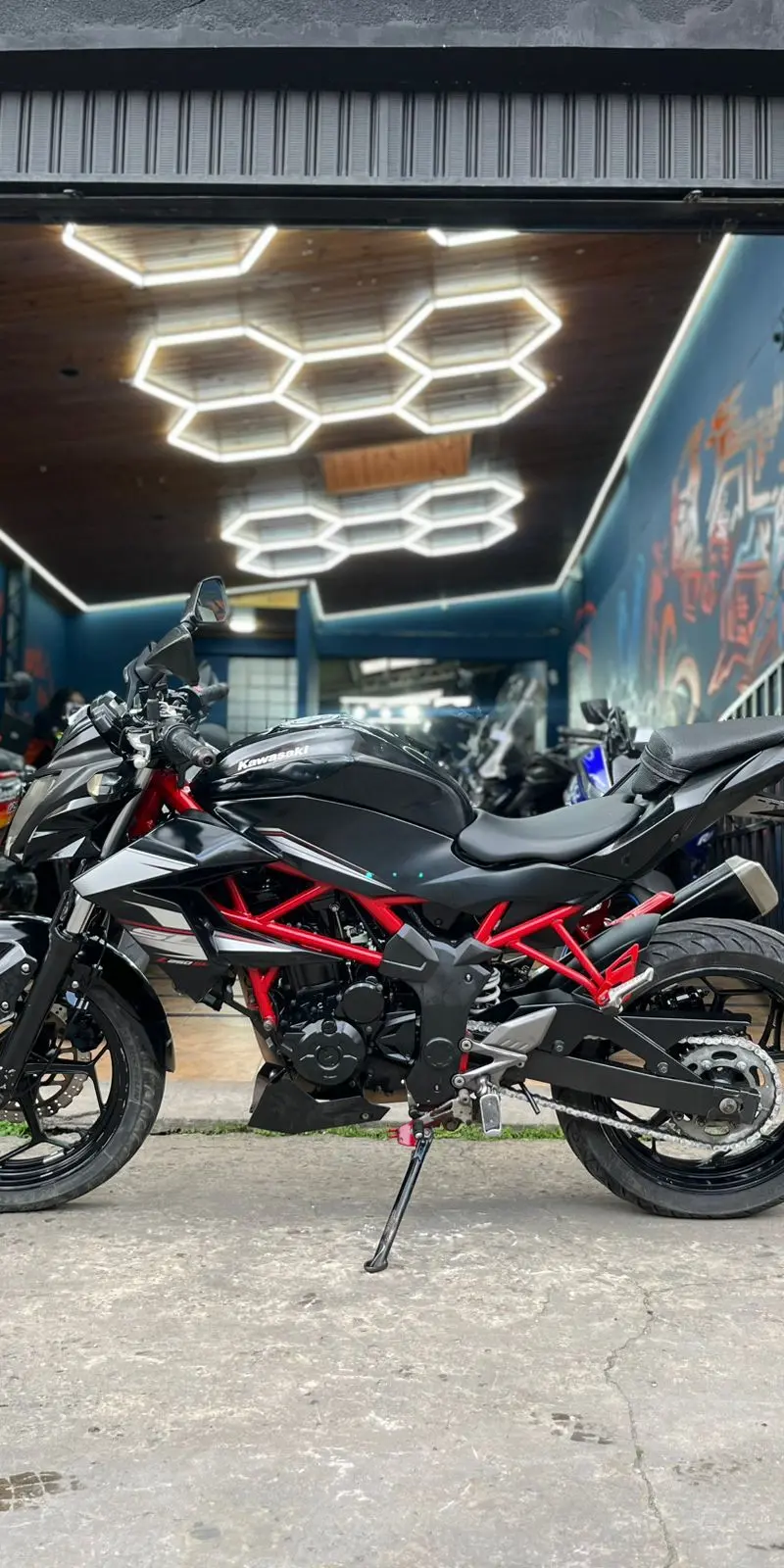 Kawasaki  Z250 SL 2015