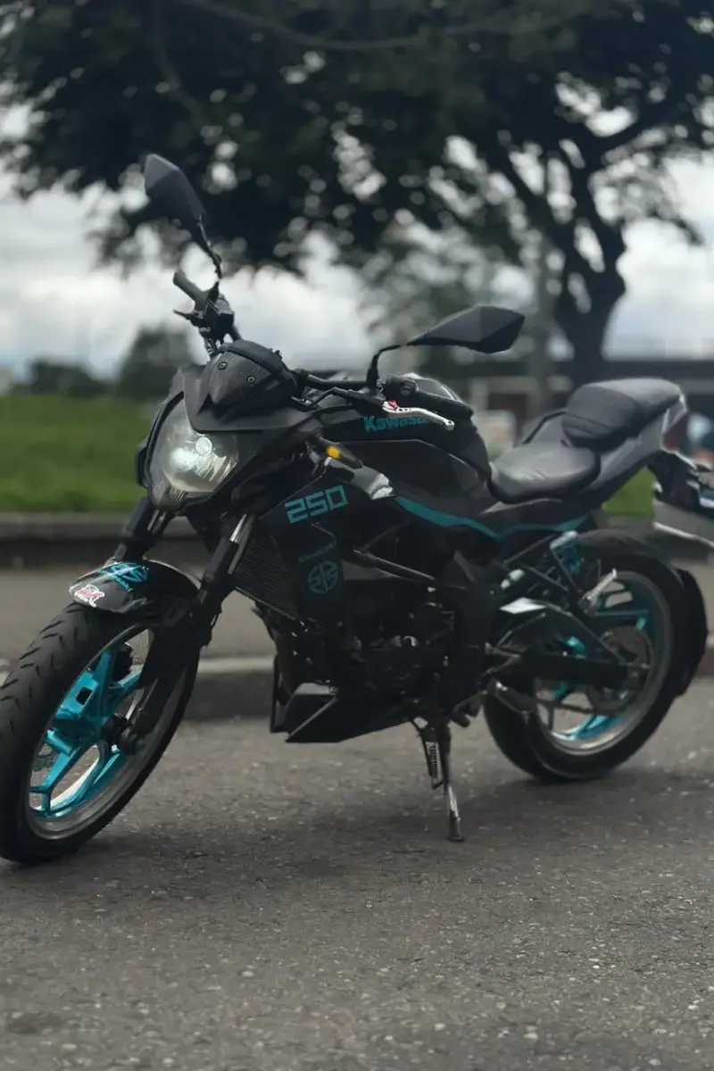 Kawasaki  Z250 SL 2017