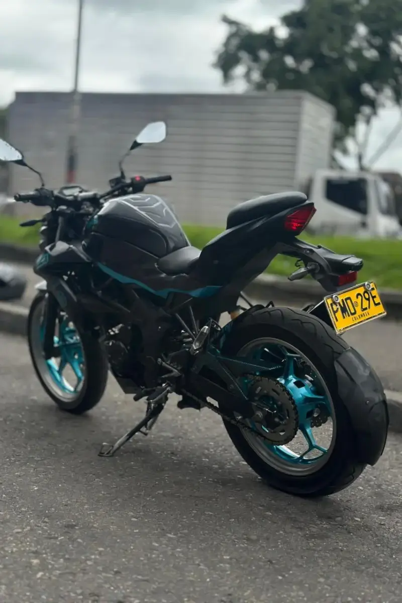 Kawasaki  Z250 SL 2017