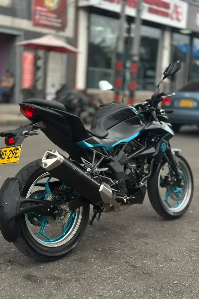 Kawasaki  Z250 SL 2017