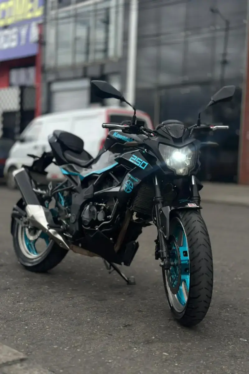 Kawasaki  Z250 SL 2017