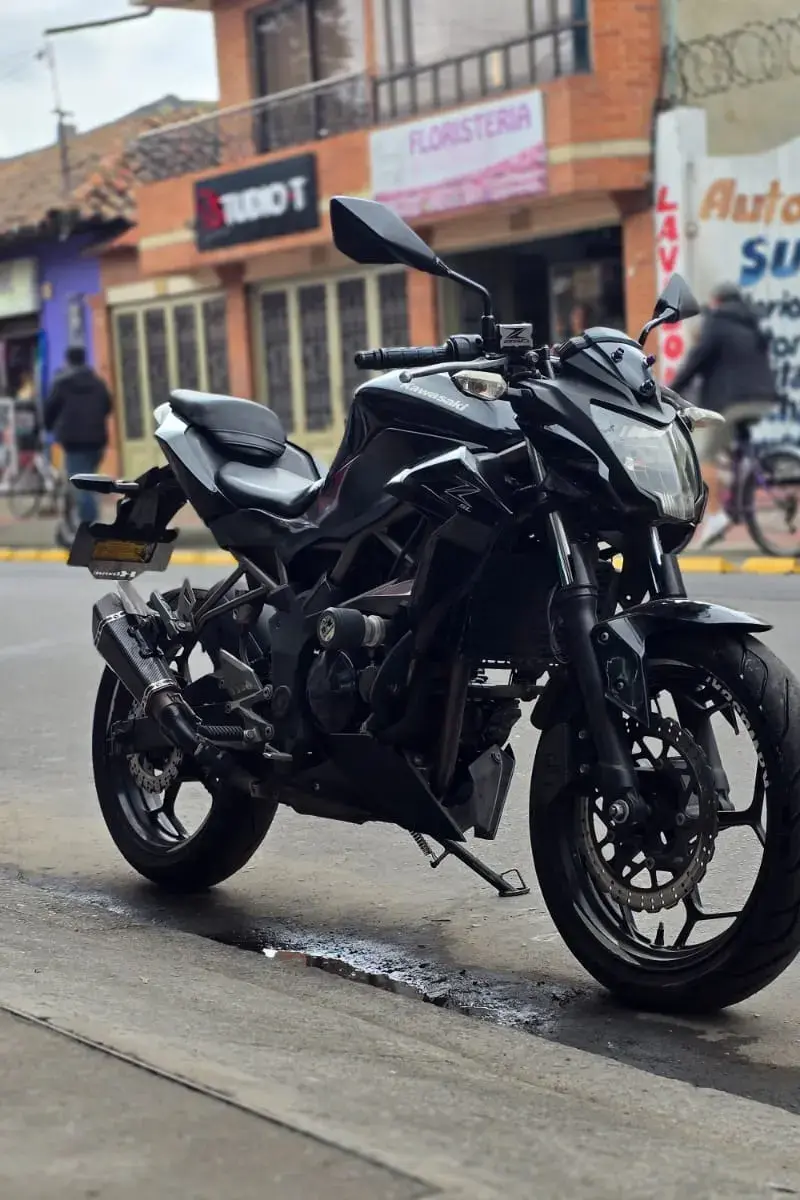 Kawasaki  EX 250 2017