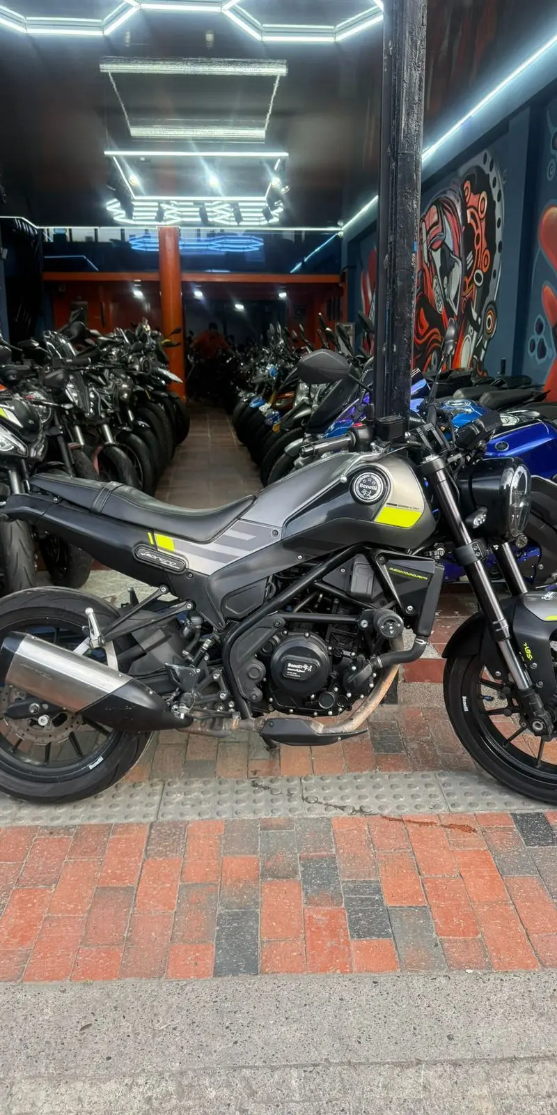 Benelli Leoncino  2022