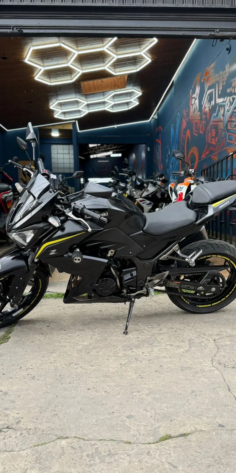 Kawasaki  ER 2019