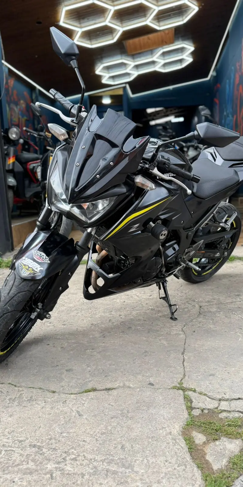 Kawasaki  ER 2019